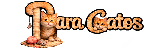 Todo lo que necesita tu gato lo puedes encontrar aquí